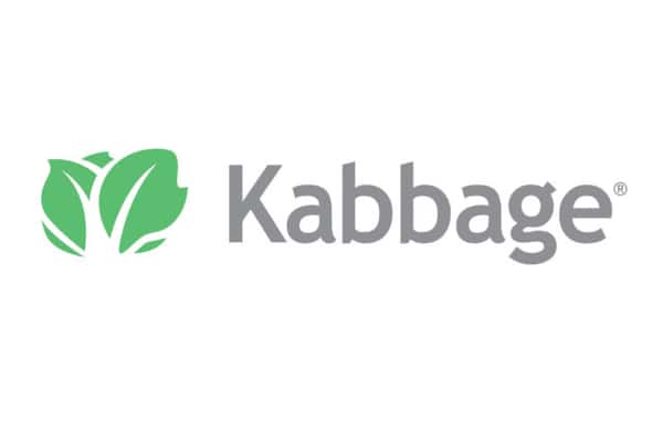 Kabbage-review