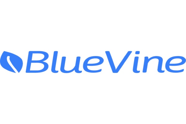 BlueVine-review
